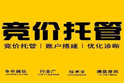 百度广告推广的投放策略与市场分析